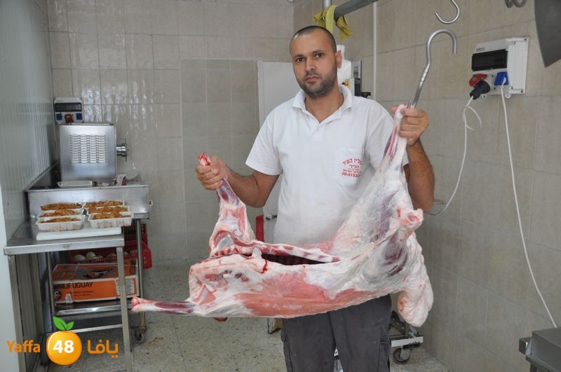 mal7amat el balad (18).JPG